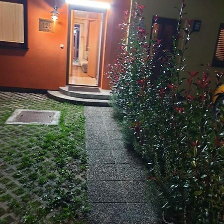 Terme Catez Apartma Nine Чатеж-об-Сави Экстерьер фото