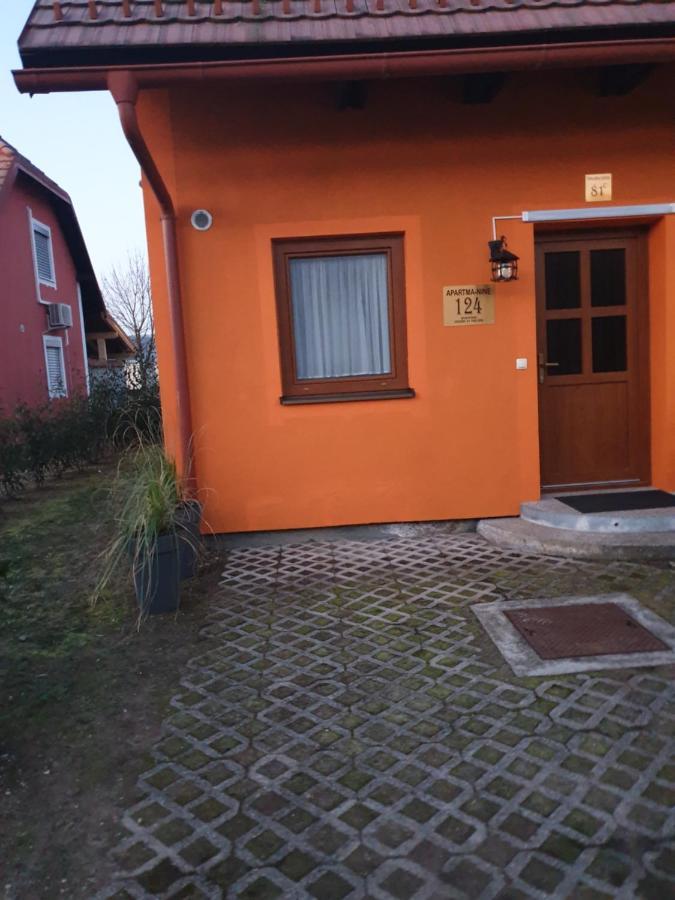 Terme Catez Apartma Nine Чатеж-об-Сави Экстерьер фото