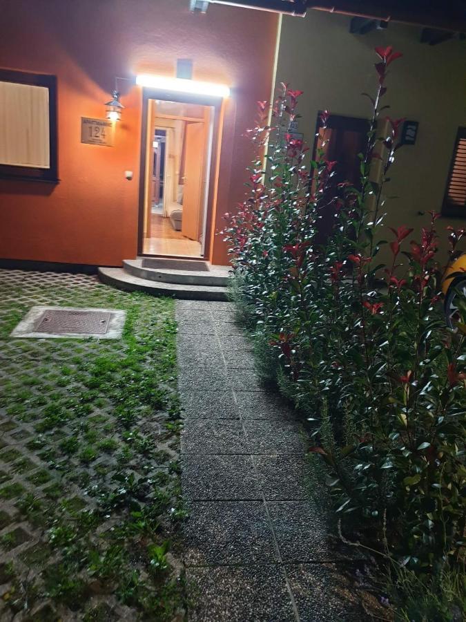 Terme Catez Apartma Nine Чатеж-об-Сави Экстерьер фото